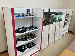 リニューアルした水槽周り